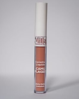 Camuflagem corretivo - Salmão